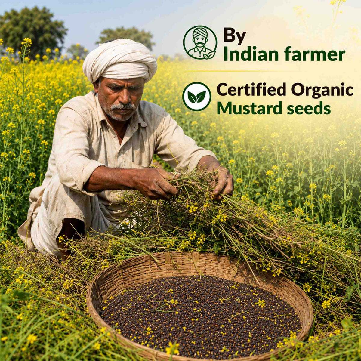 Organic Mustard Oil 1L + Himalayan Pahadi Namak Combo