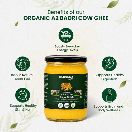 Barsana Magic and A jar of Barsana Organic A2 Badri Cow Ghee centered on a light textured background with green benefit callouts around it. The jar has a black lid and a dark green label showing a cow illustration and product text.